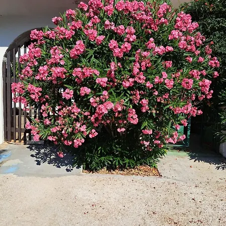 Apartman Beachfront Neves *